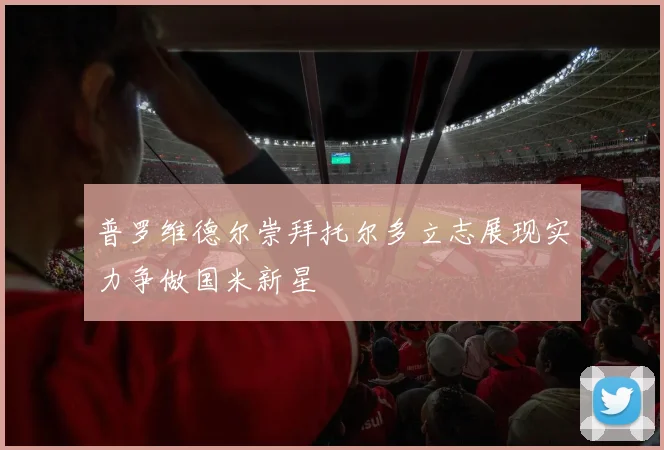 普罗维德尔崇拜托尔多立志展现实力争做国米新星